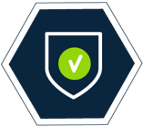 New Year Resolution Icon - Security