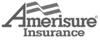 Amerisure Insurance